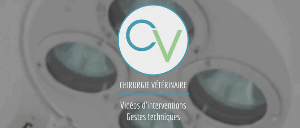 chv1