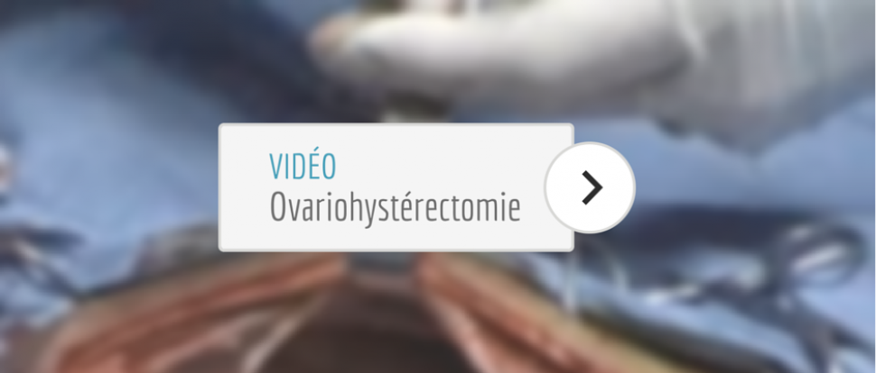 chv5